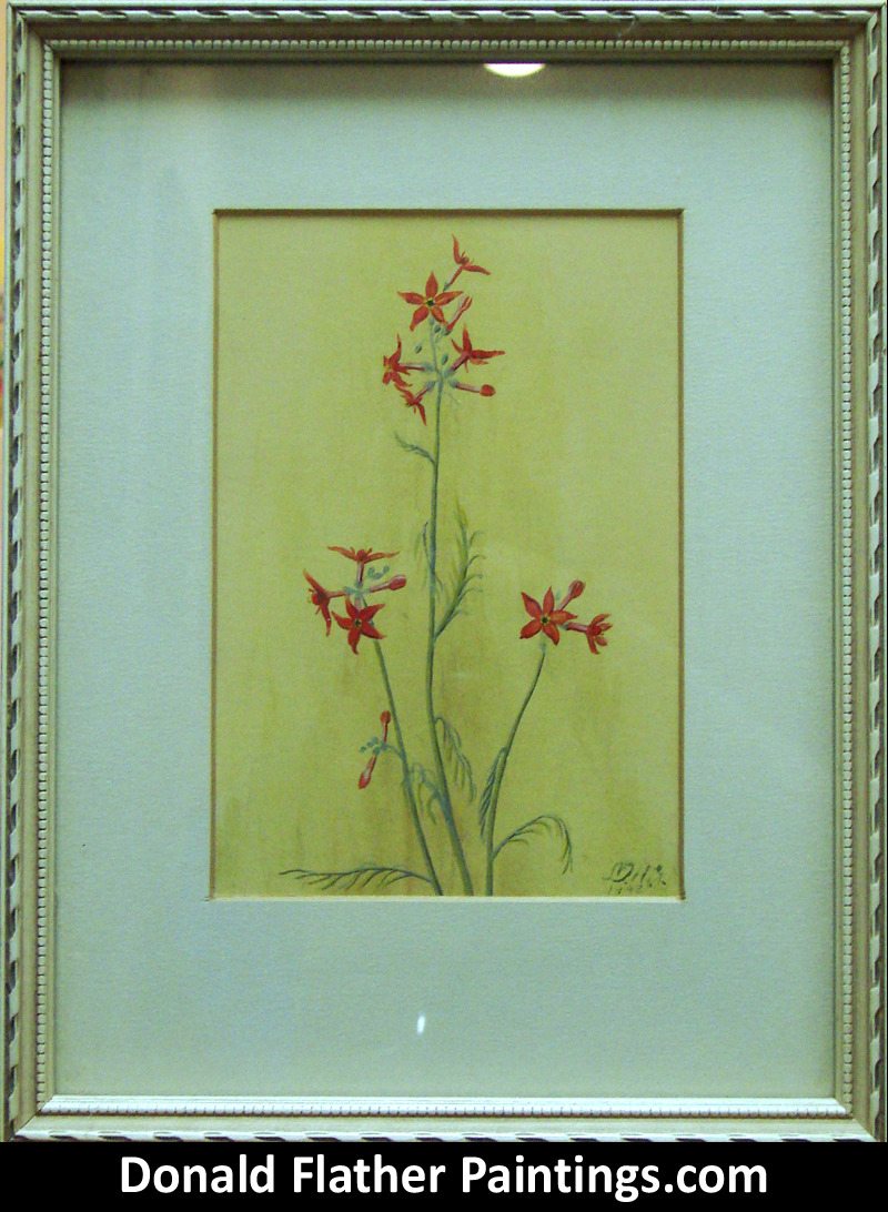 Dr. DM (Donald McIntosh) Flather original framed Canadian watercolour floral Untitled Still Life painting