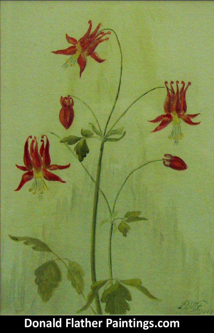 Dr. DM (Donald McIntosh) Flather original Canadian watercolour floral Untitled Still Life 